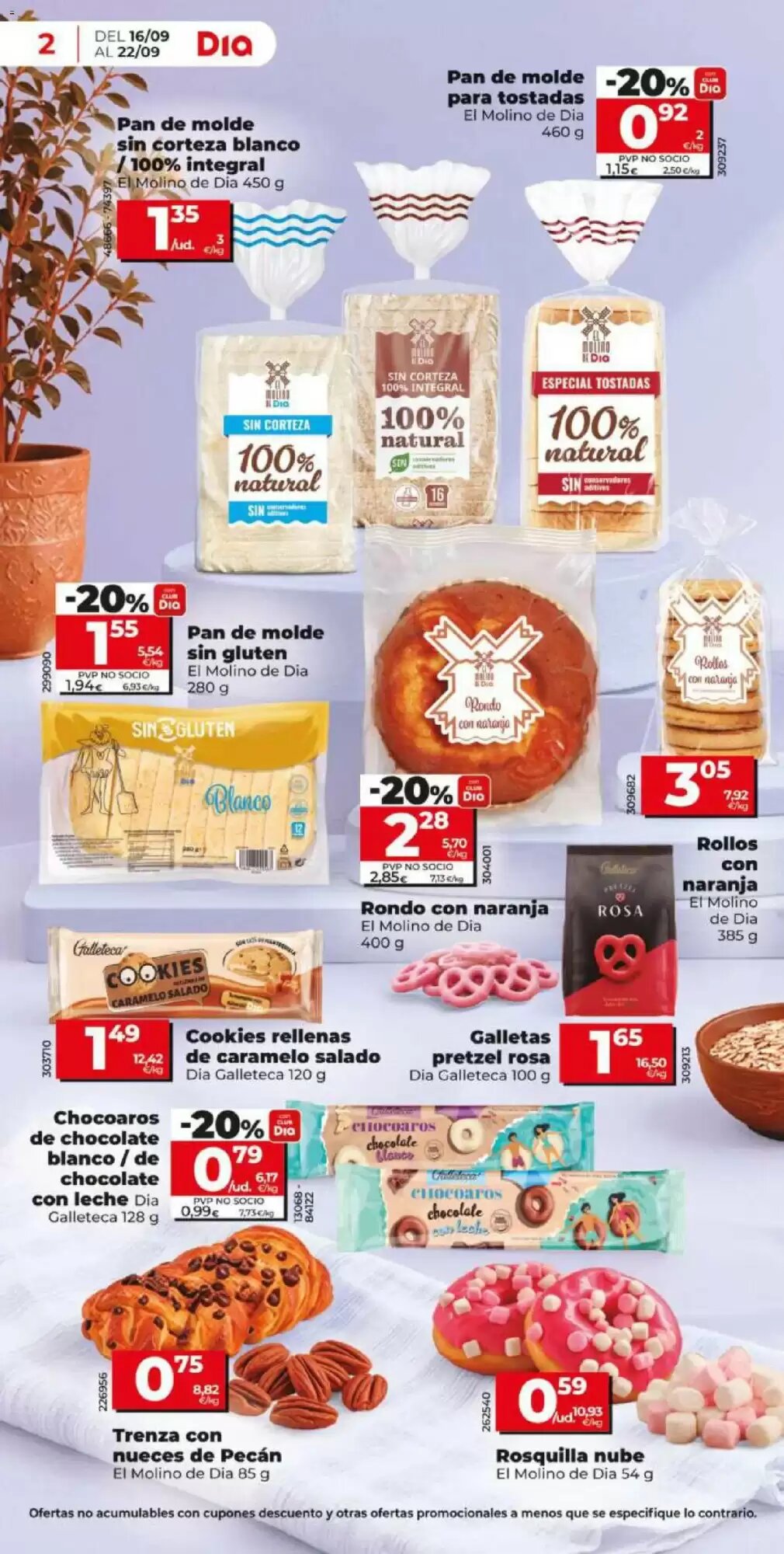 Folleto promocional de Dia válido desde el 16/09/2026 - Página 2.
