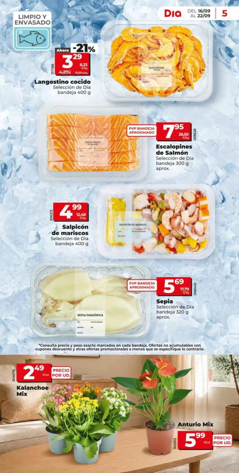 Folleto promocional de Dia válido desde el 16/09/2026 - Página 5.