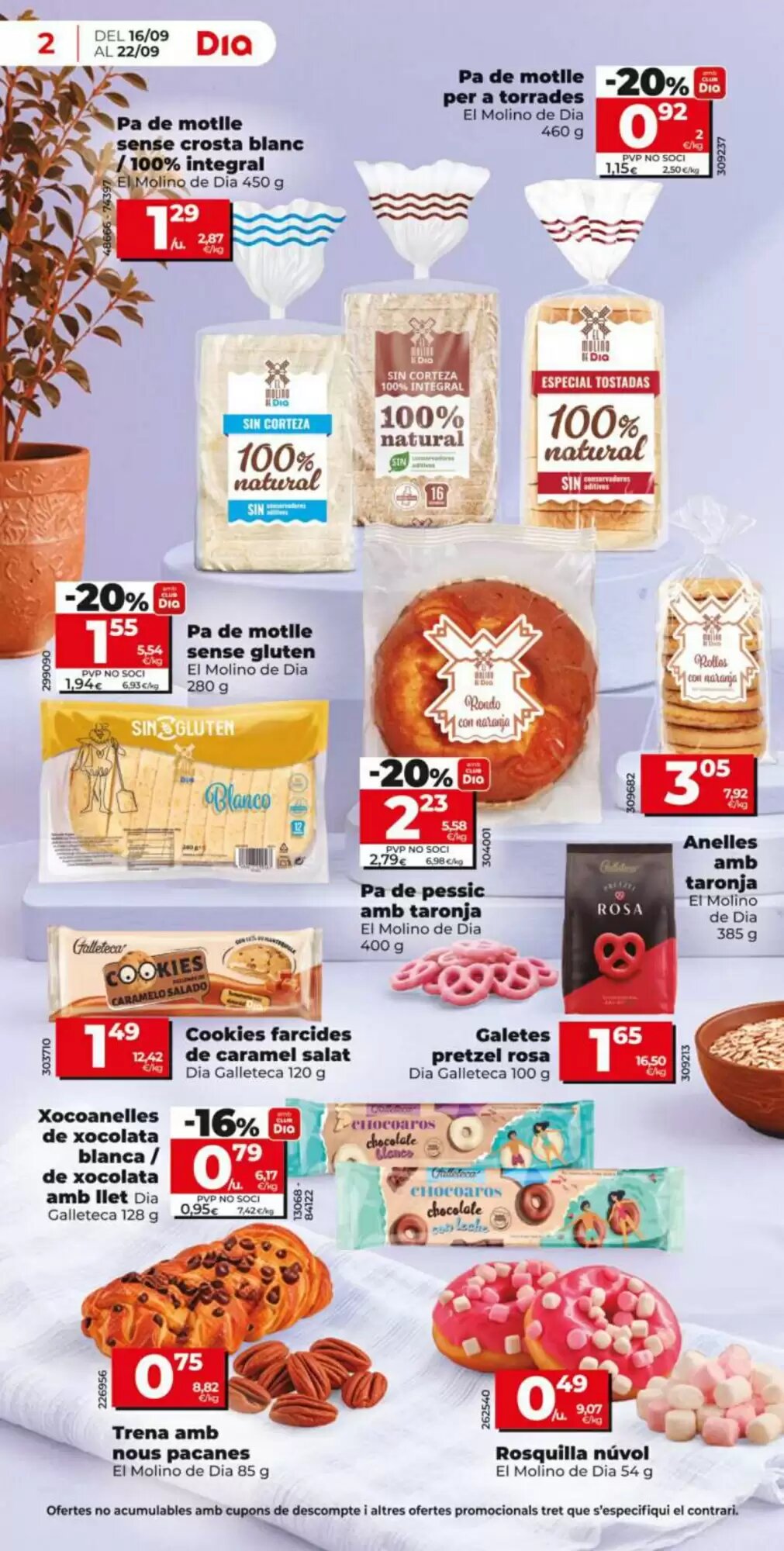 Folleto promocional de Dia válido desde el 16/09/2026 - Página 2.