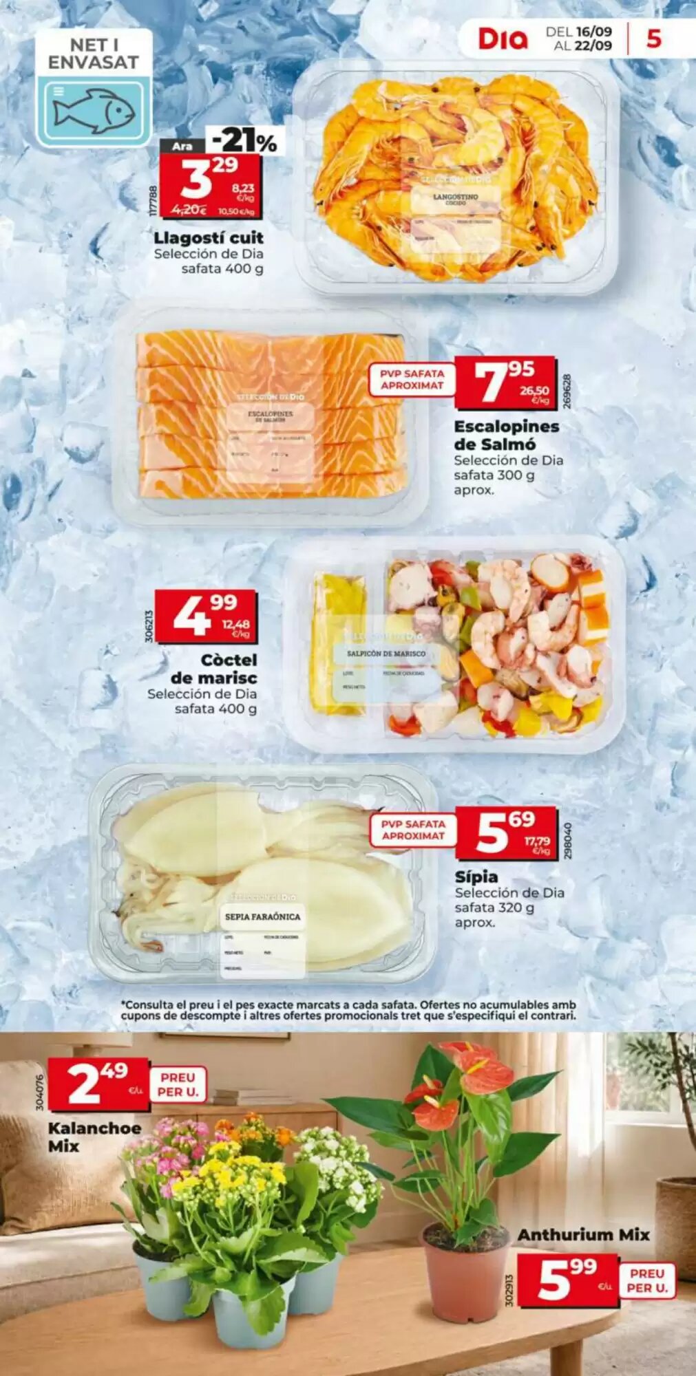 Folleto promocional de Dia válido desde el 16/09/2026 - Página 5.
