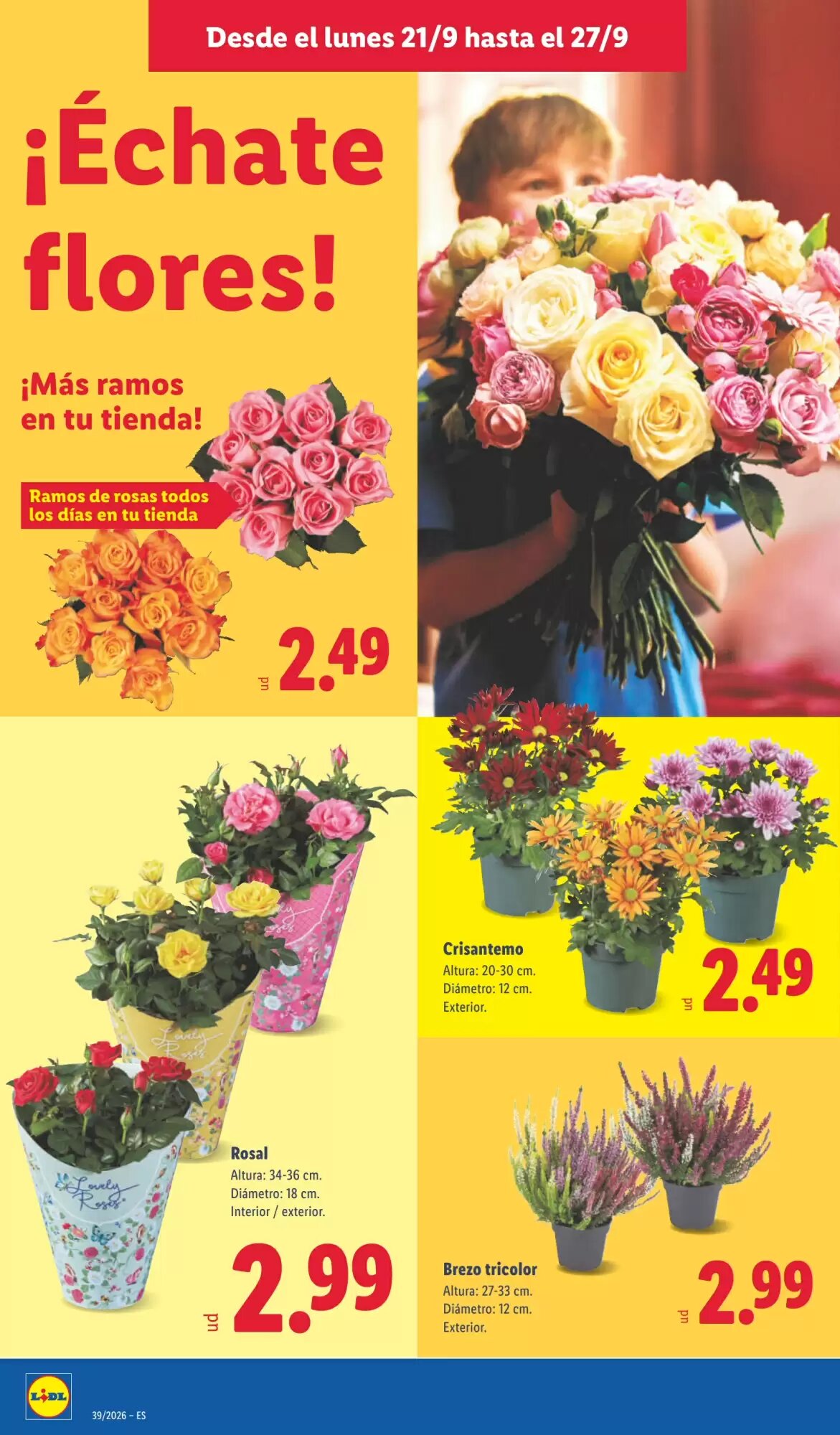 Folleto promocional de Lidl válido desde el 21/09/2026 - Página 48.