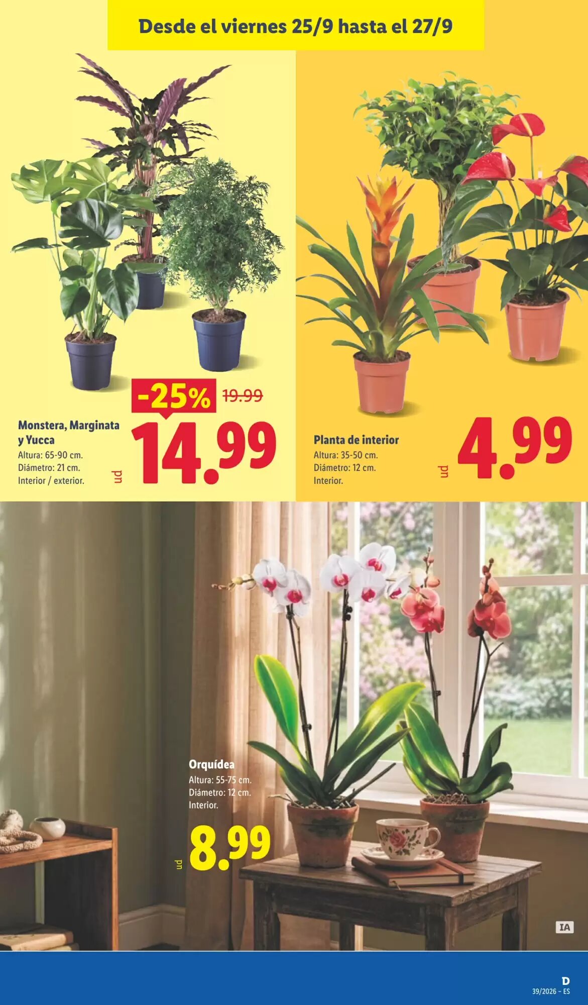 Folleto promocional de Lidl válido desde el 21/09/2026 - Página 49.