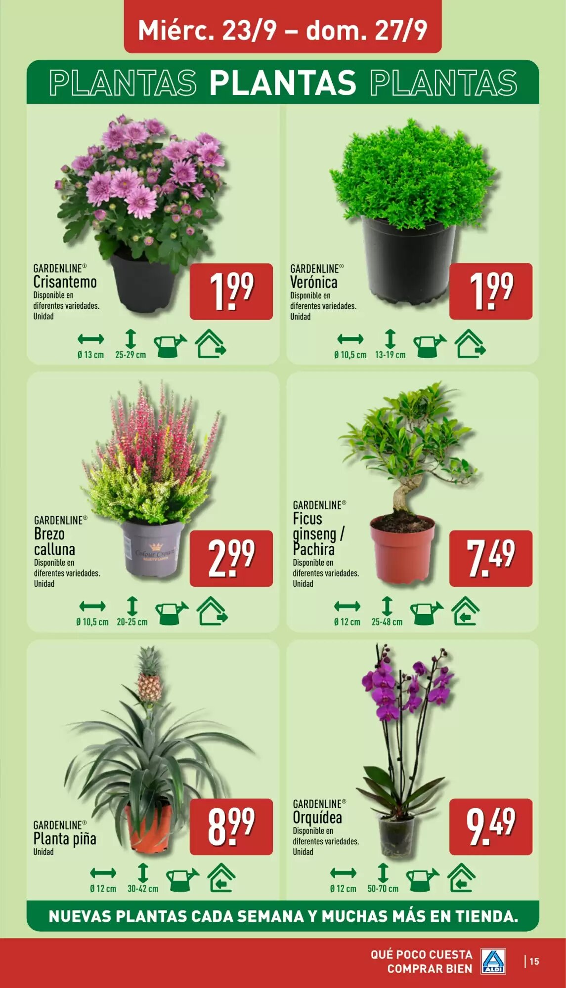 Folleto promocional de ALDI válido desde el 21/09/2026 - Página 15.