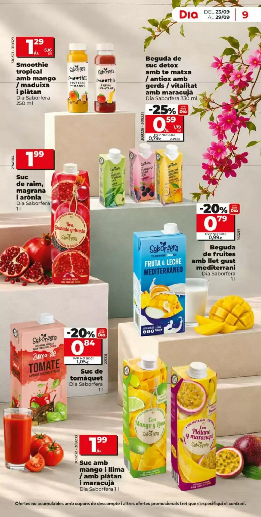 Folleto promocional de Dia válido desde el 23/09/2026 - Página 9.