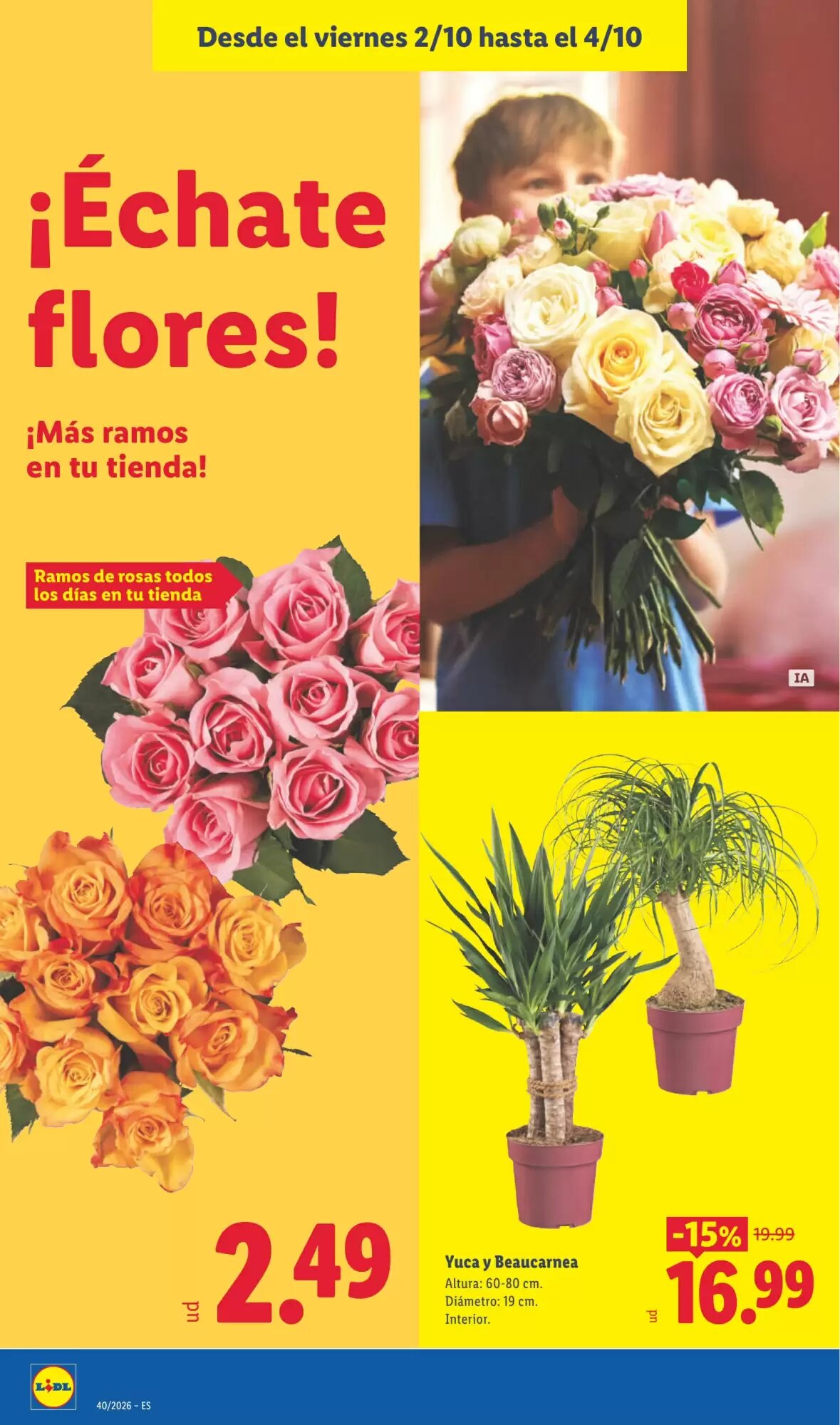 Folleto promocional de Lidl válido desde el 28/09/2026 - Página 48.