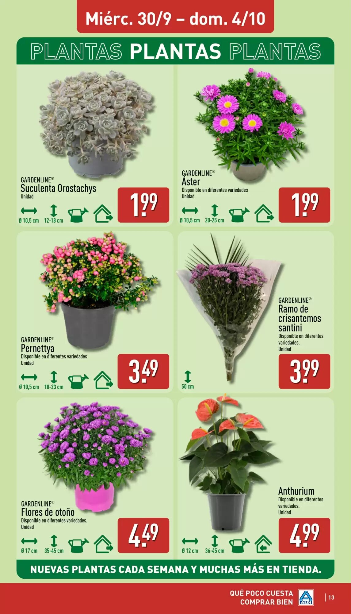Folleto promocional de ALDI válido desde el 28/09/2026 - Página 13.