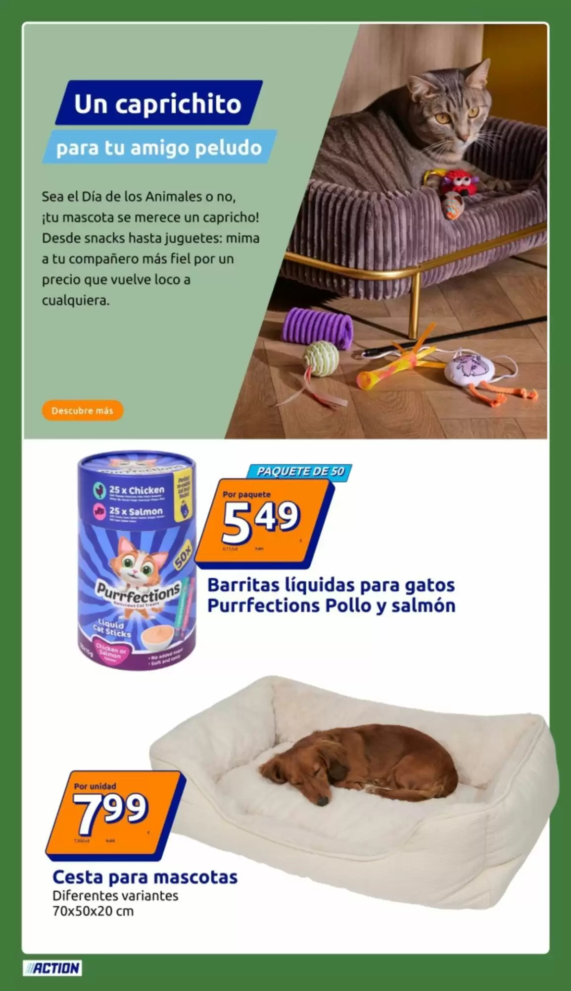 Folleto promocional de Action válido desde el 01/10/2026 - Página 36.