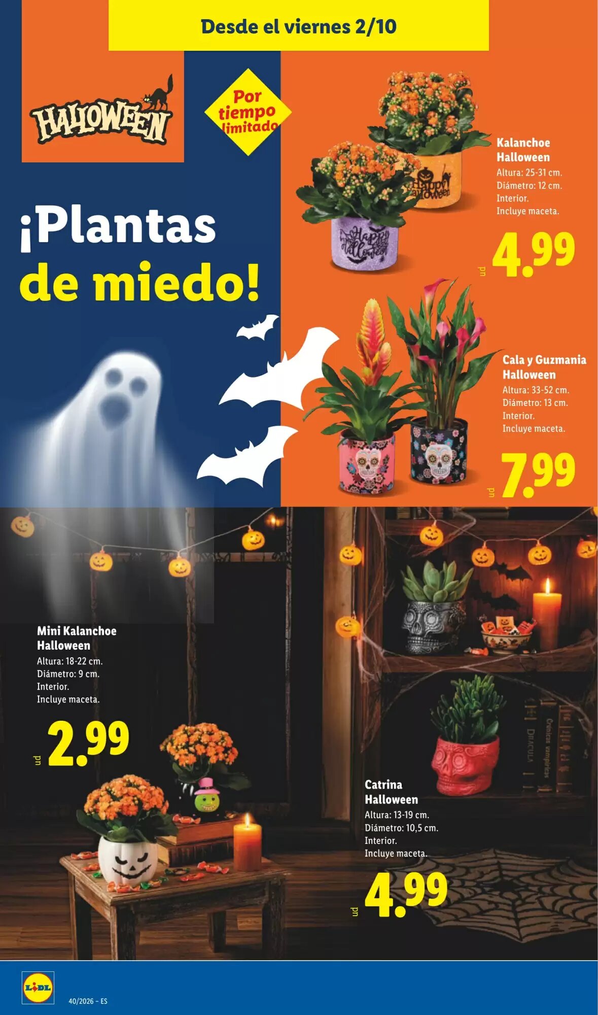 Folleto promocional de Lidl válido desde el 02/10/2026 - Página 14.
