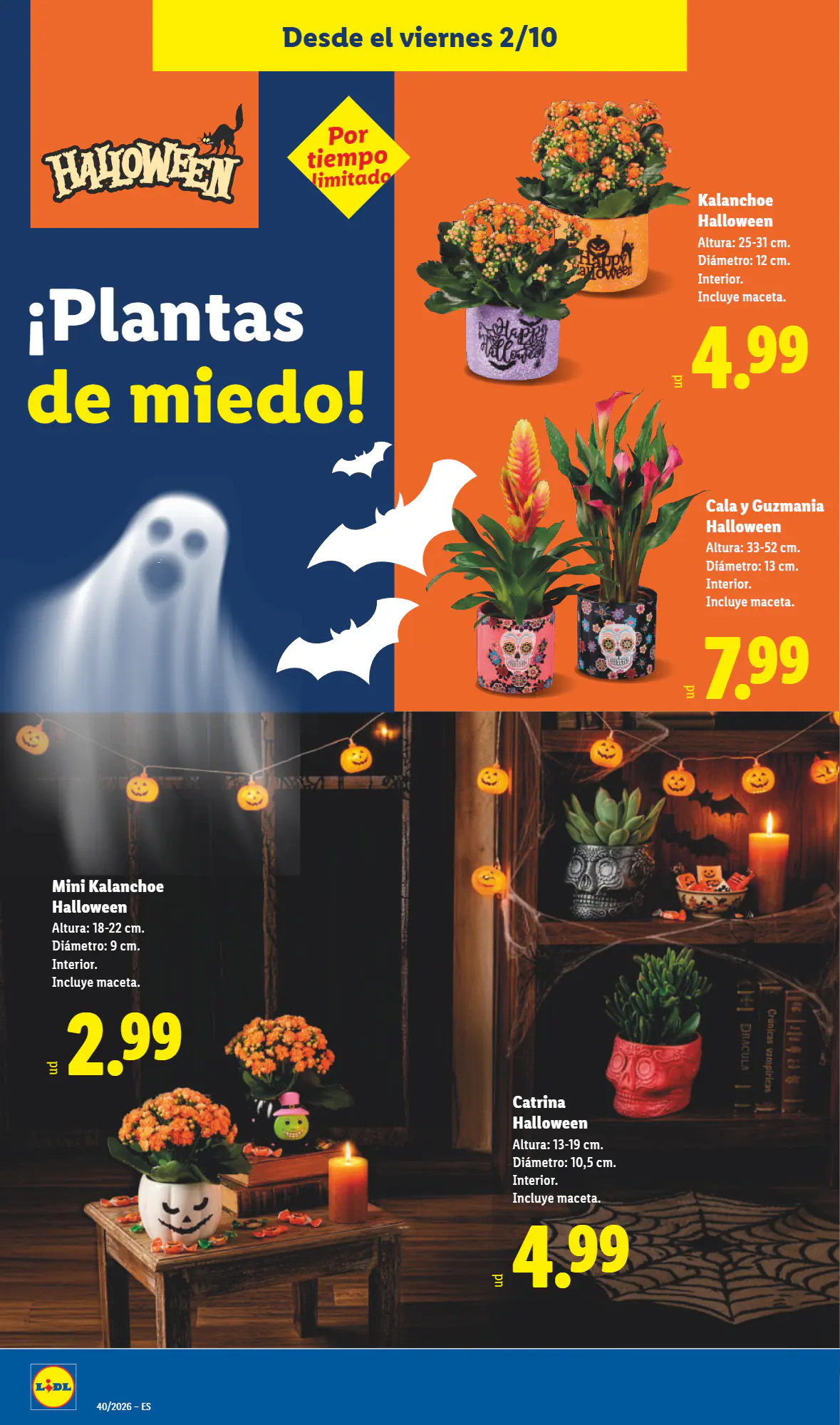 Folleto promocional de Lidl válido desde el 02/10/2026 - Página 14.
