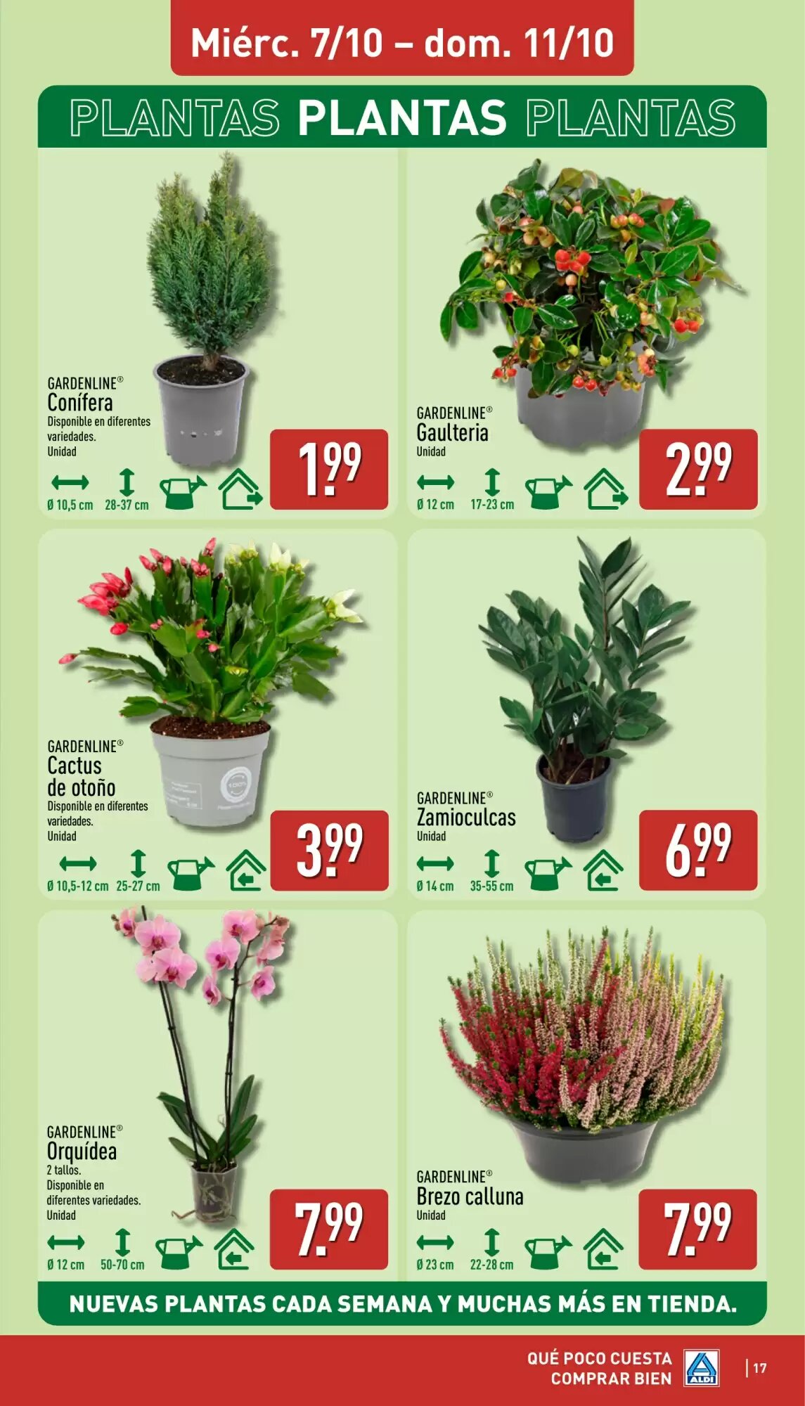 Folleto promocional de ALDI válido desde el 05/10/2026 - Página 17.