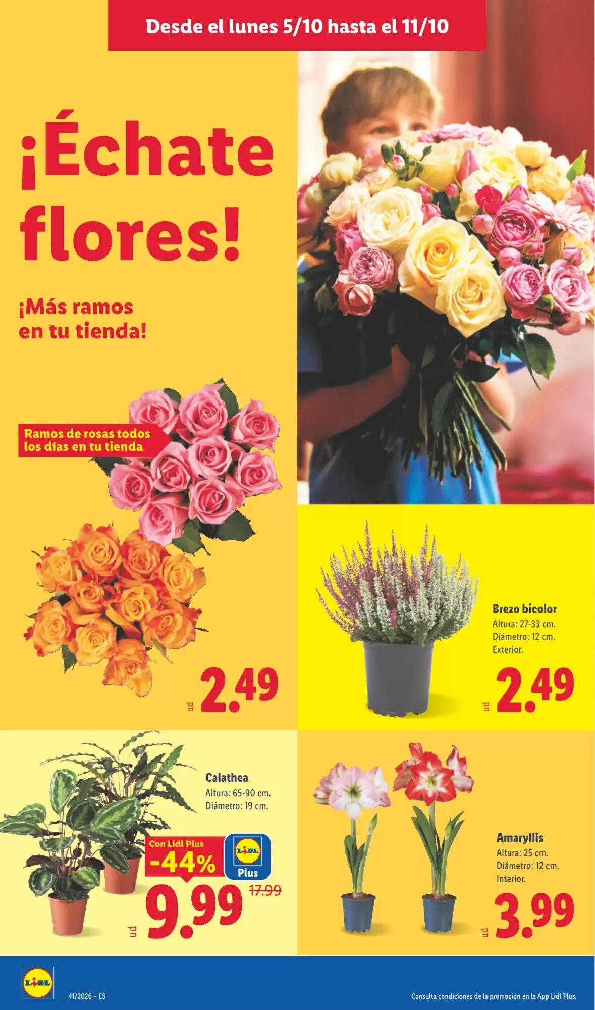 Folleto promocional de Lidl válido desde el 05/10/2026 - Página 50.