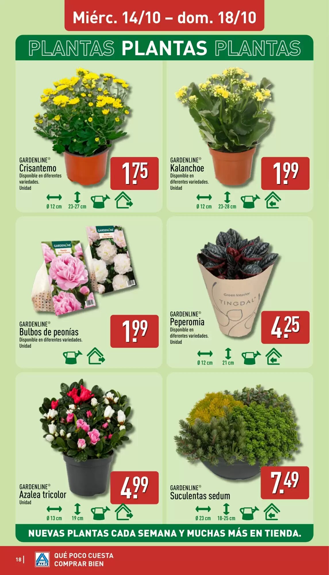 Folleto promocional de Makro válido desde el 06/10/2026 - Página 18.