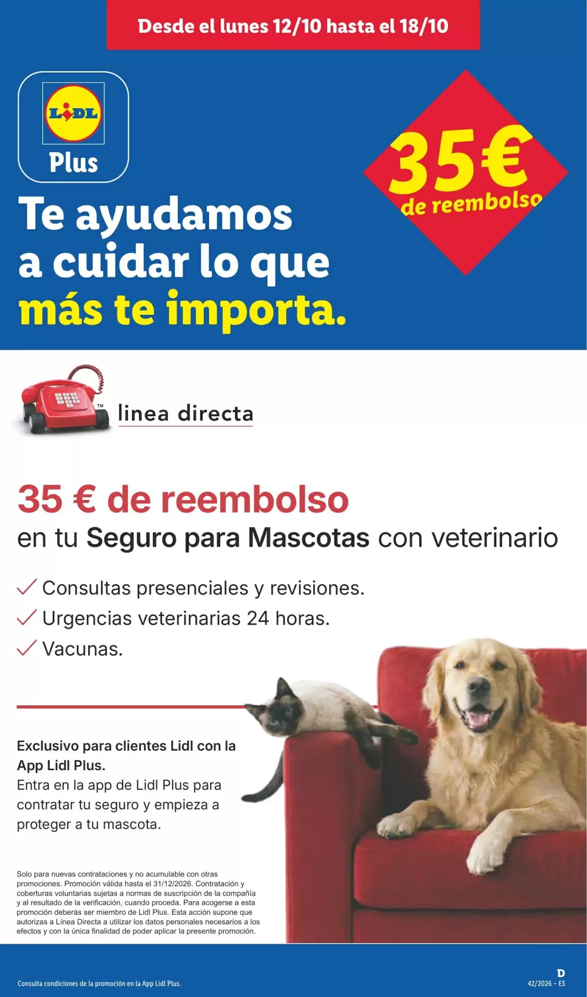 Folleto promocional de Lidl válido desde el 12/10/2026 - Página 15.