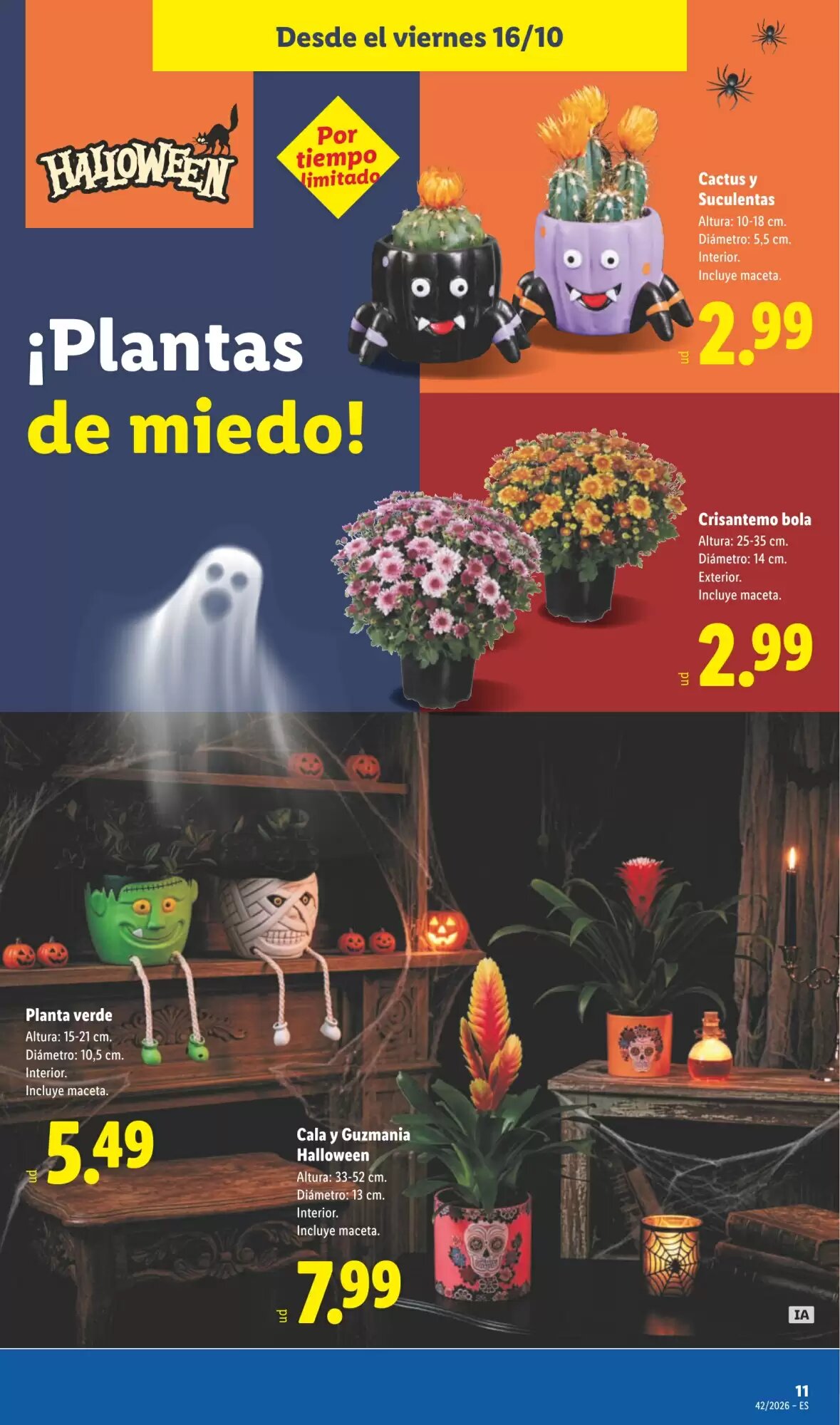 Folleto promocional de Lidl válido desde el 12/10/2026 - Página 31.