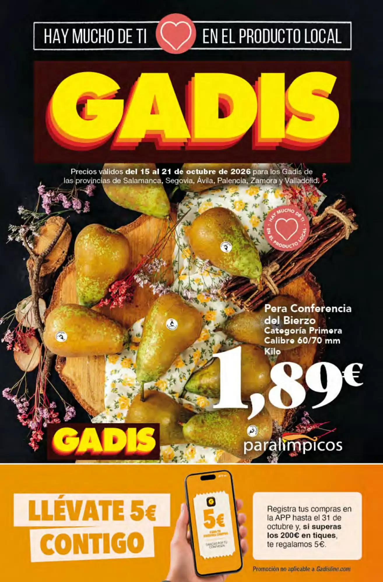 Folleto promocional de Gadis válido desde el 15/10/2026 - Página 1.