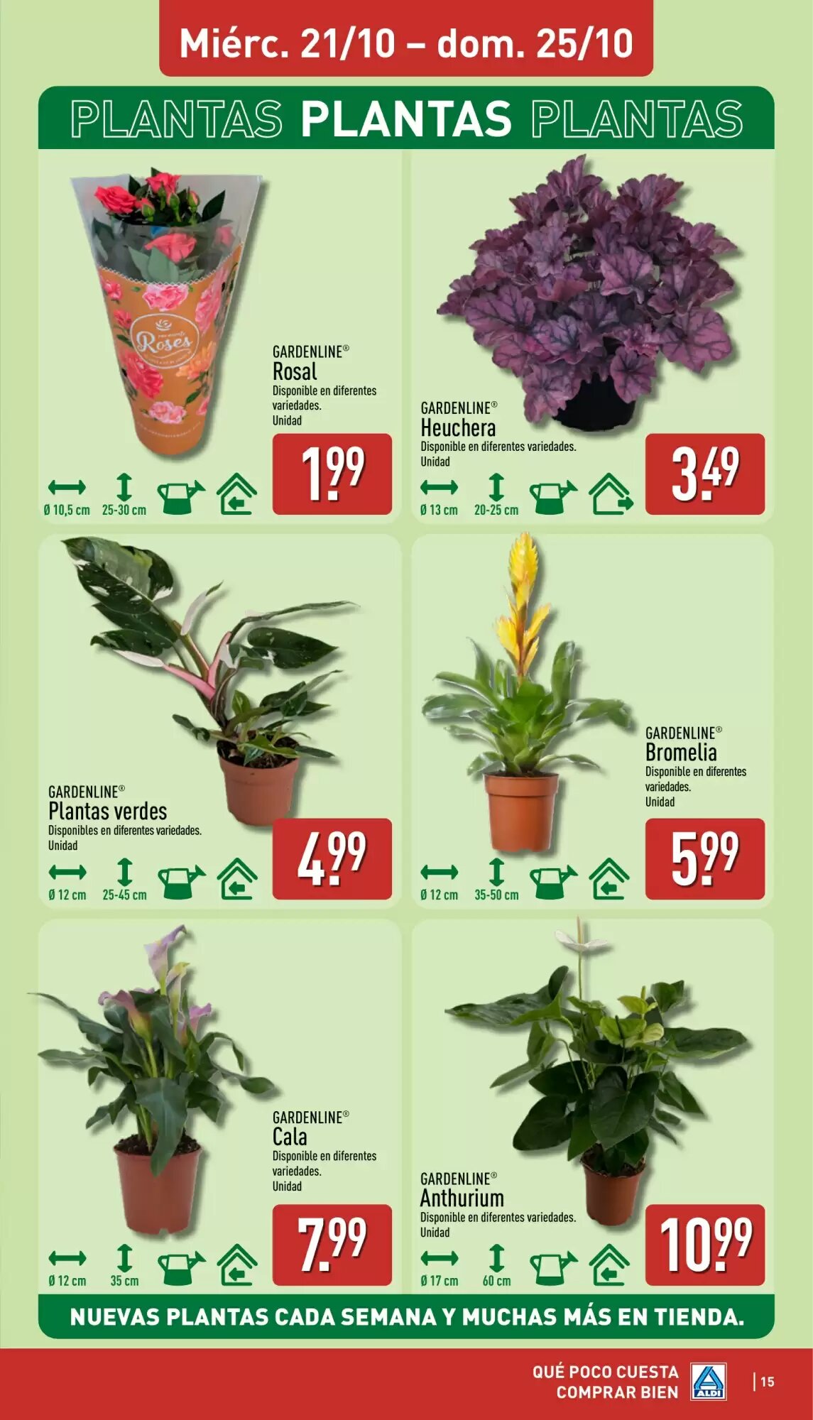 Folleto promocional de ALDI válido desde el 19/10/2026 - Página 15.