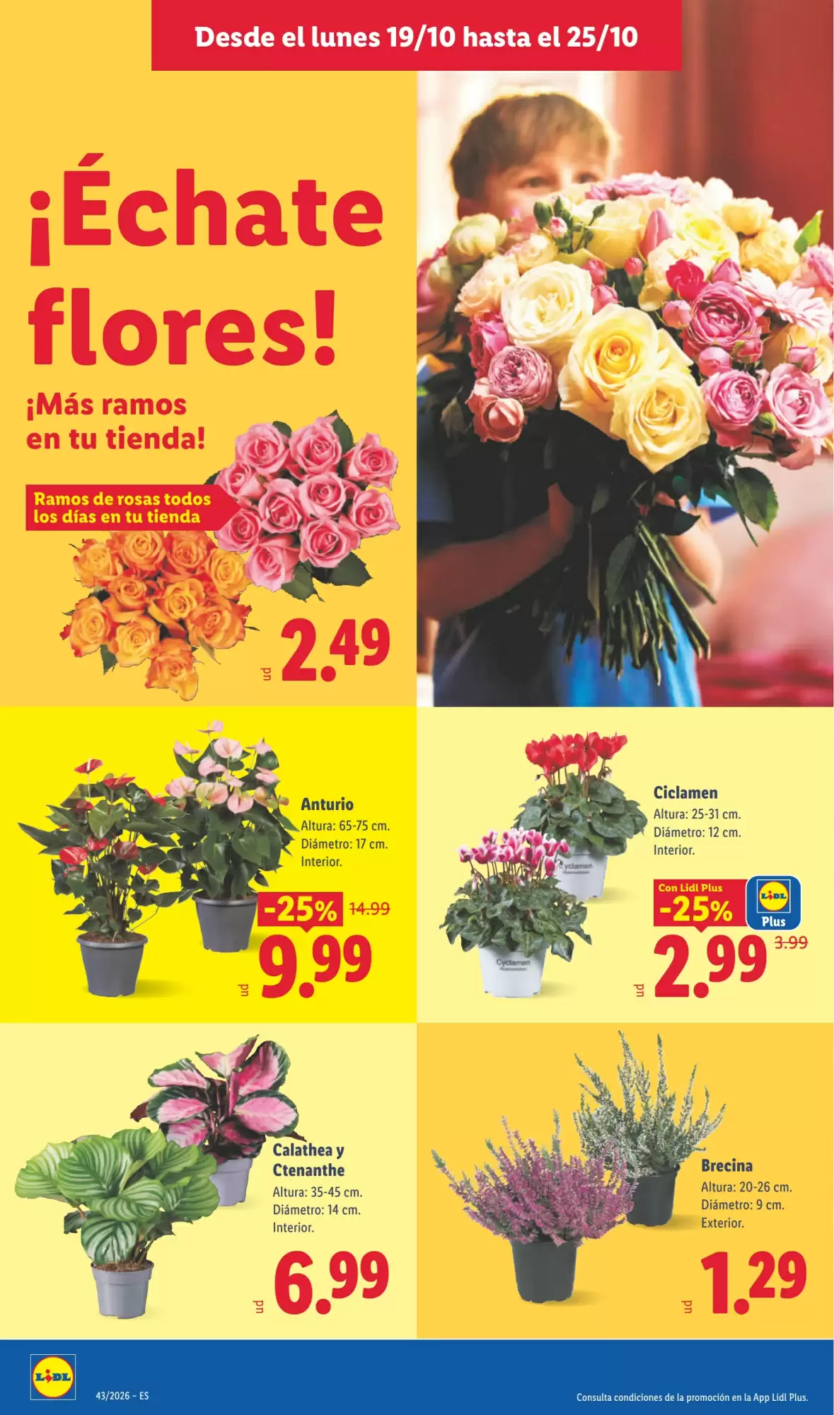 Folleto promocional de Lidl válido desde el 19/10/2026 - Página 52.