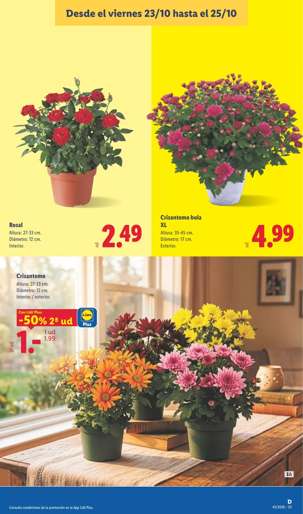 Folleto promocional de Lidl válido desde el 19/10/2026 - Página 53.