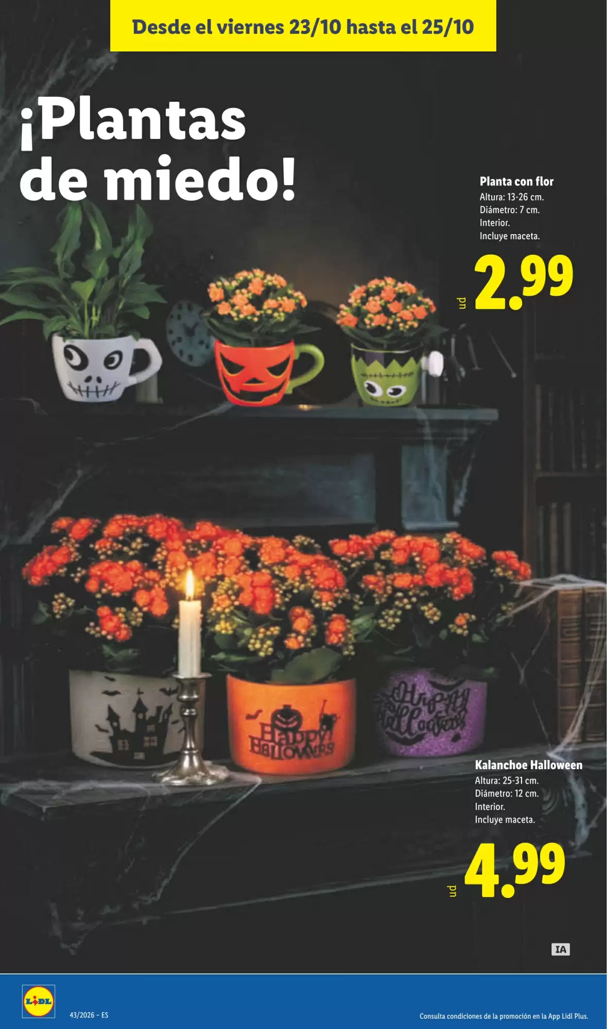 Folleto promocional de Lidl válido desde el 19/10/2026 - Página 54.