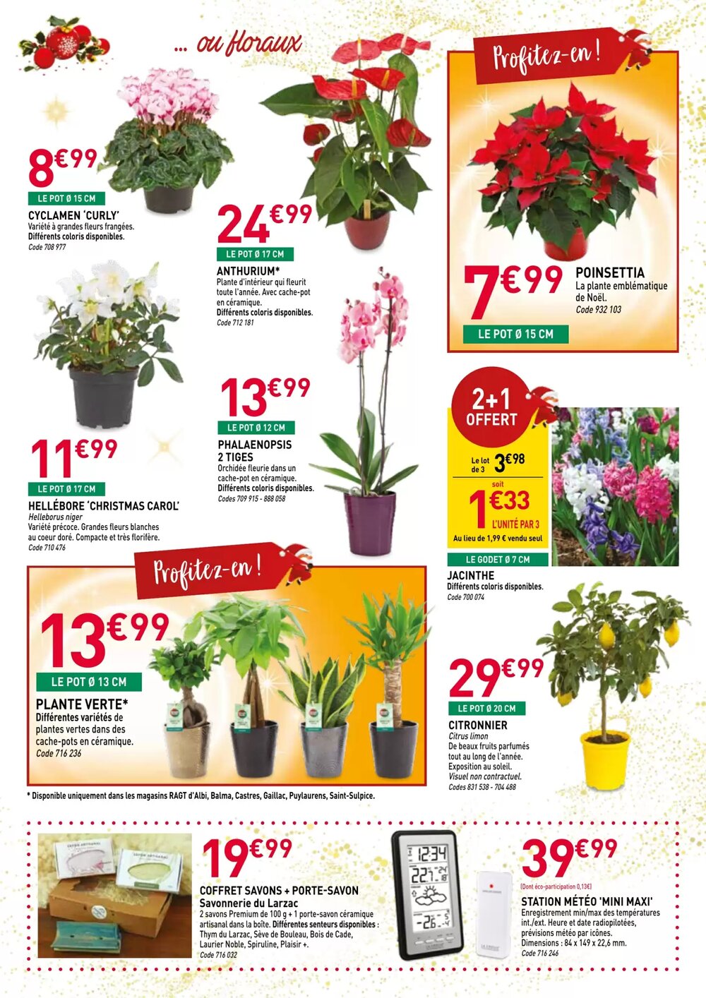 Prospectus promotionnel RAGT Jardin valable à partir du 26/11/2025 - Page 7.
