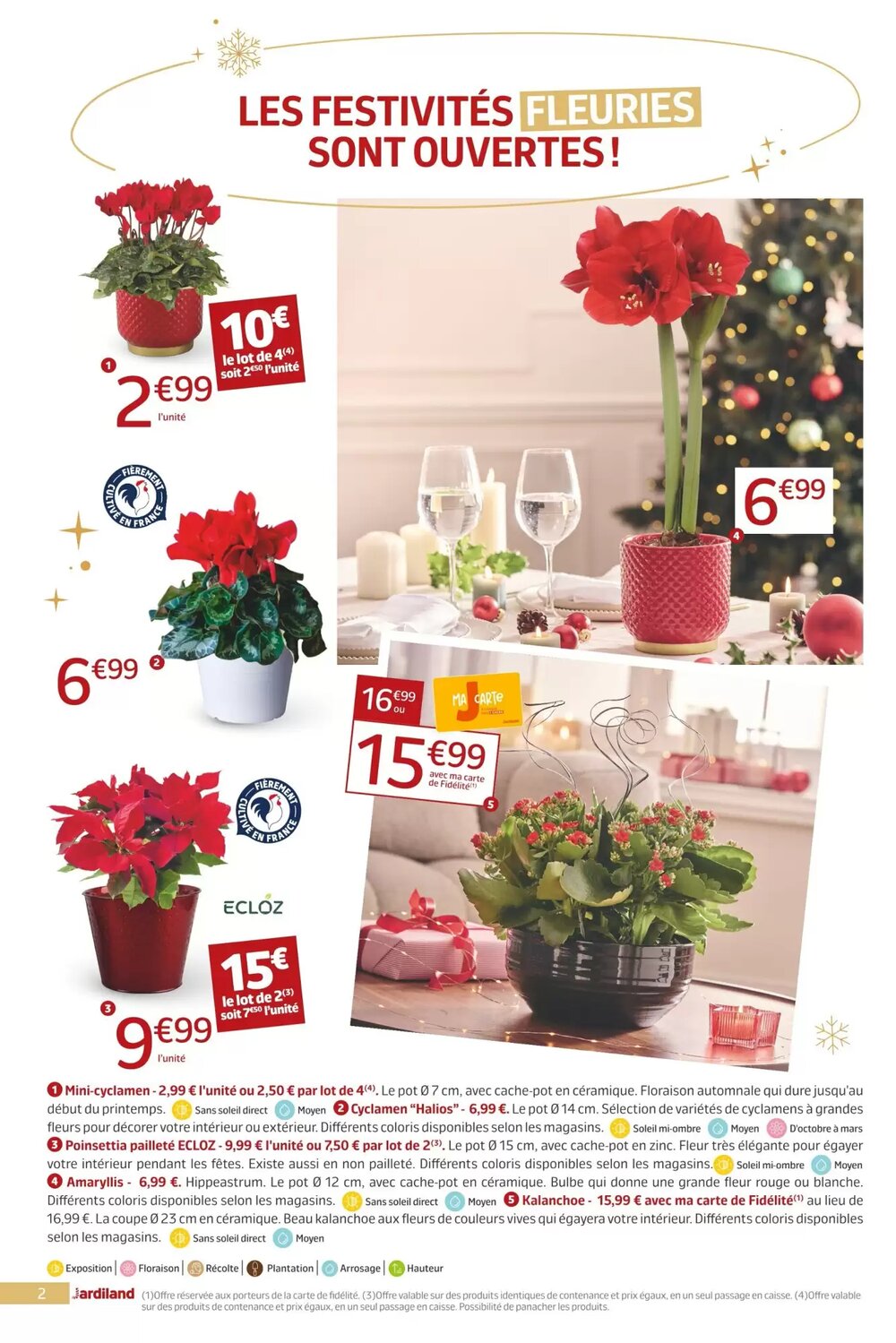 Prospectus promotionnel Jardiland valable à partir du 12/12/2025 - Page 2.