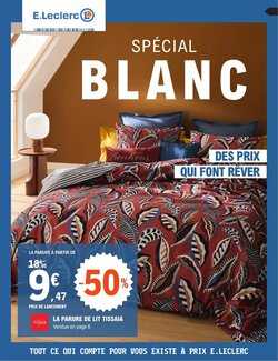 Prospectus promotionnel Action valable à partir du 24/12/2025