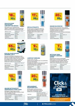 Prospectus promotionnel Prolians valable à partir du 01/01/2026 - Page 9.