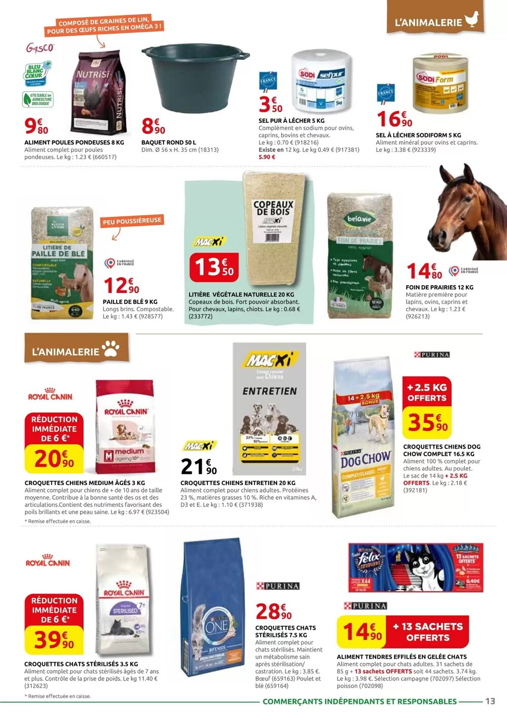 Prospectus promotionnel Rural Master valable à partir du 12/01/2026 - Page 13.