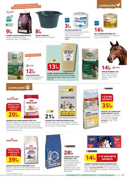 Prospectus promotionnel Rural Master valable à partir du 12/01/2026 - Page 13.