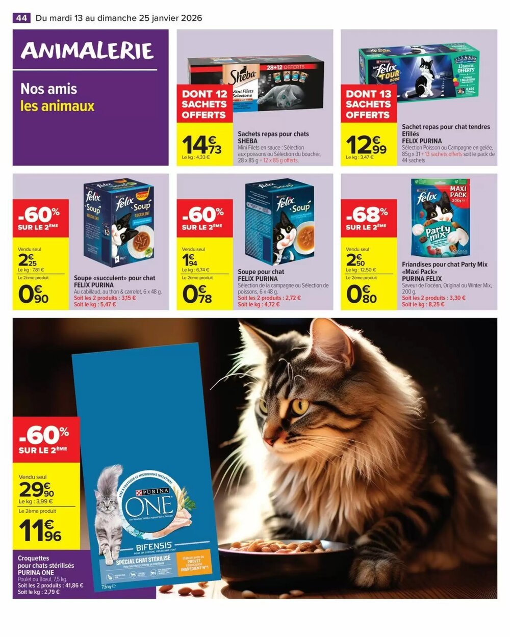 Prospectus promotionnel Carrefour valable à partir du 13/01/2026 - Page 46.