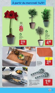 Prospectus promotionnel ALDI valable à partir du 13/01/2026 - Page 25.
