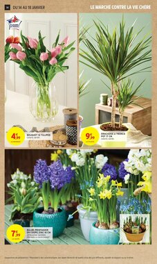 Prospectus promotionnel Intermarché valable à partir du 13/01/2026 - Page 14.
