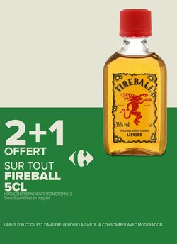 Prospectus promotionnel Carrefour valable à partir du 13/01/2026 - Page 15.