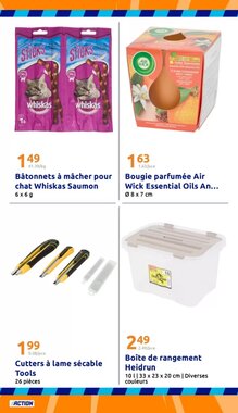 Prospectus promotionnel Action valable à partir du 14/01/2026 - Page 21.