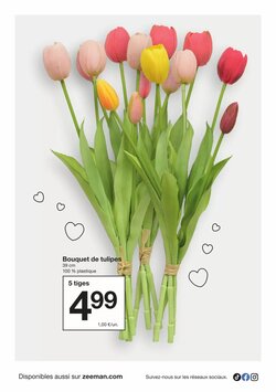 Prospectus promotionnel Zeeman valable à partir du 17/01/2026 - Page 24.