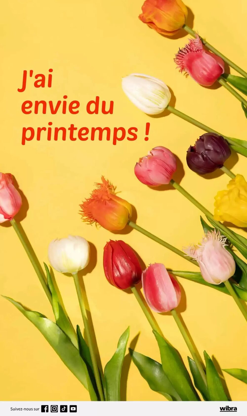 Prospectus promotionnel Wibra valable à partir du 19/01/2026 - Page 10.