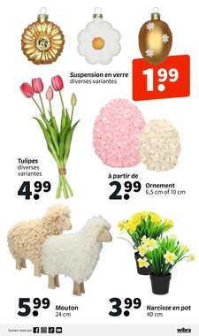 Prospectus promotionnel Wibra valable à partir du 19/01/2026 - Page 11.