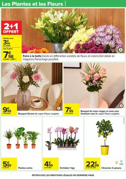 Prospectus promotionnel Carrefour valable à partir du 20/01/2026 - Page 44.