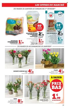 Prospectus promotionnel Hyper U valable à partir du 20/01/2026 - Page 37.