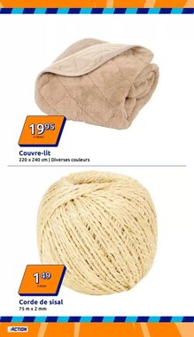 Prospectus promotionnel Action valable à partir du 21/01/2026 - Page 13.