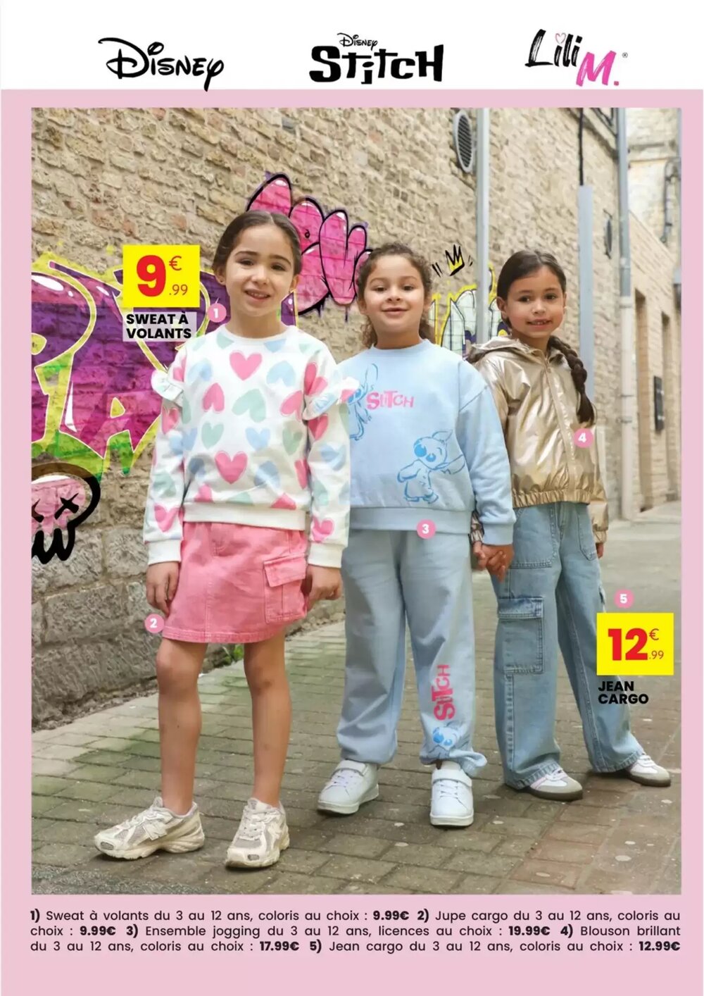 Prospectus promotionnel Stokomani valable à partir du 28/01/2026 - Page 12.