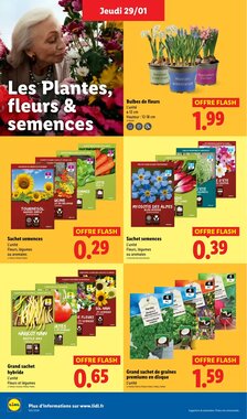 Prospectus promotionnel Lidl valable à partir du 29/01/2026 - Page 28.