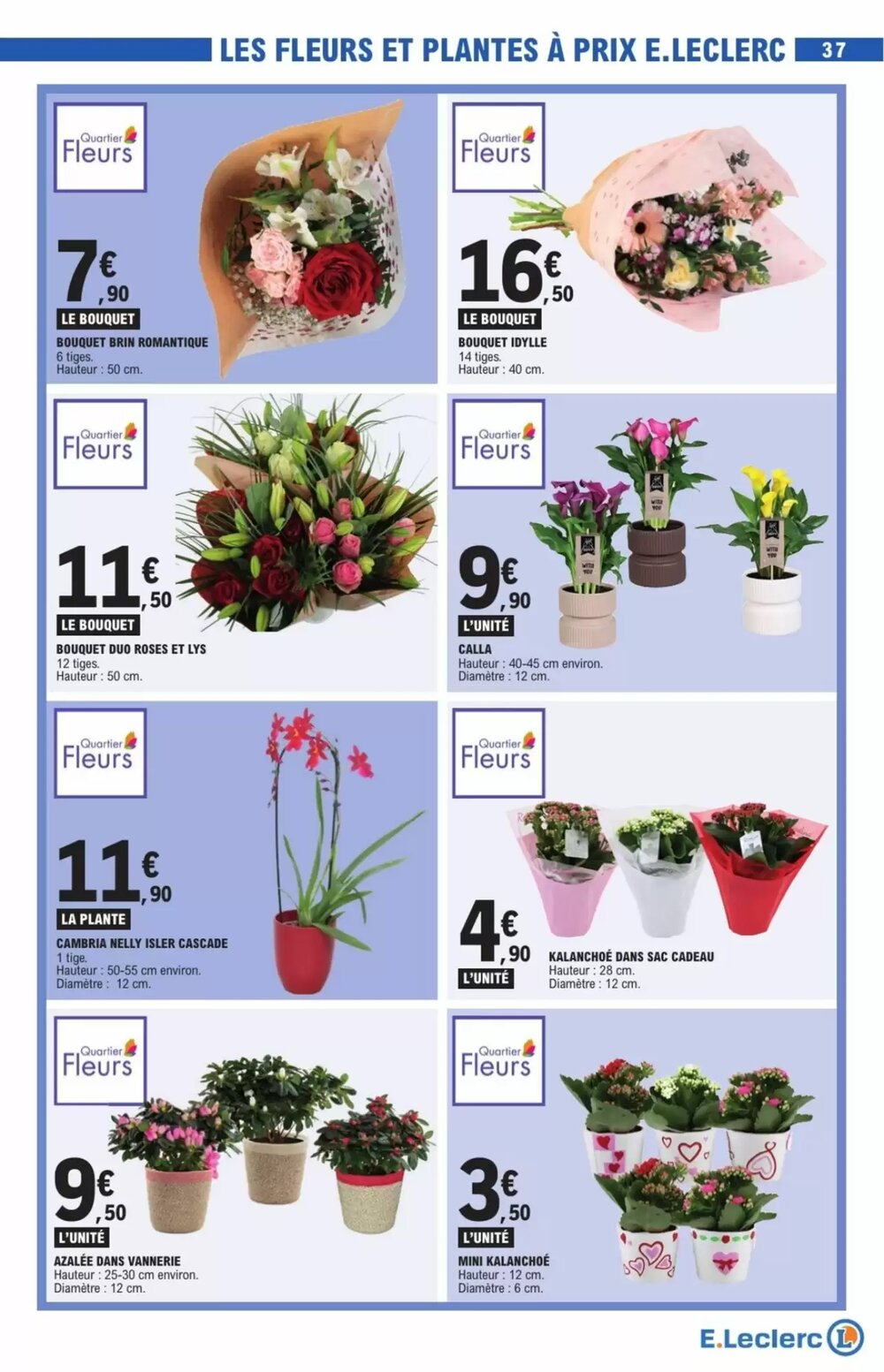 Prospectus promotionnel E.Leclerc valable à partir du 03/02/2026 - Page 37.