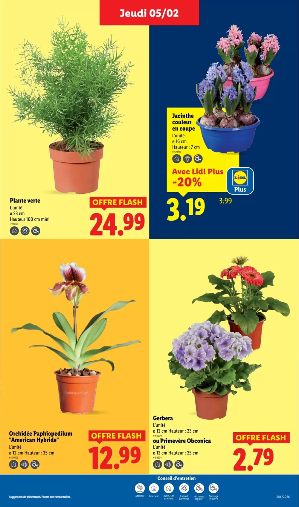 Prospectus promotionnel Lidl valable à partir du 05/02/2026 - Page 31.
