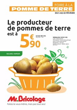 Prospectus promotionnel Mr Bricolage valable à partir du 05/02/2026