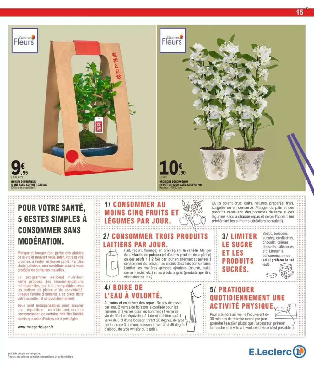 Prospectus promotionnel E.Leclerc valable à partir du 10/02/2026 - Page 15.