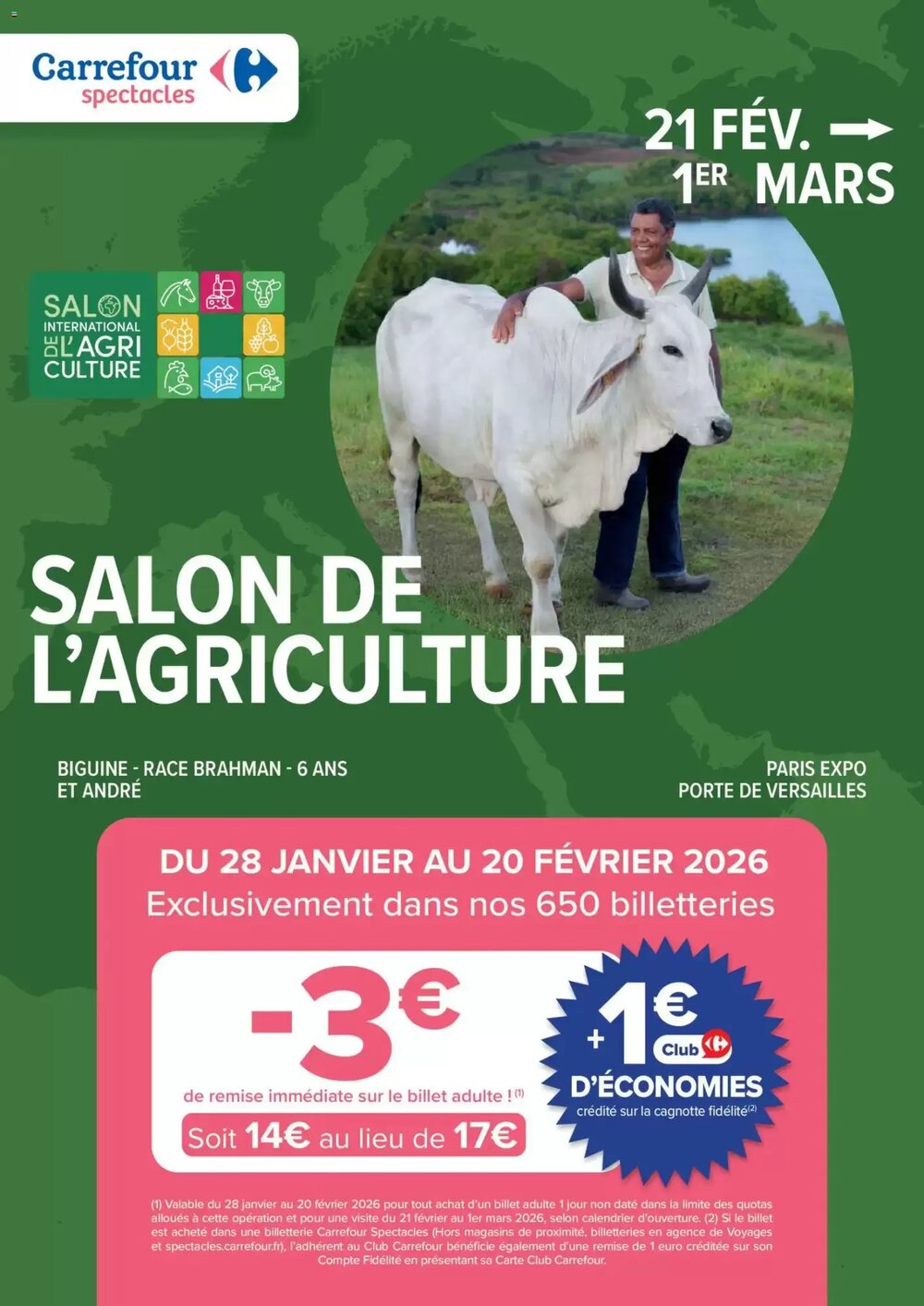 Prospectus promotionnel Carrefour valable à partir du 10/02/2026 - Page 84.