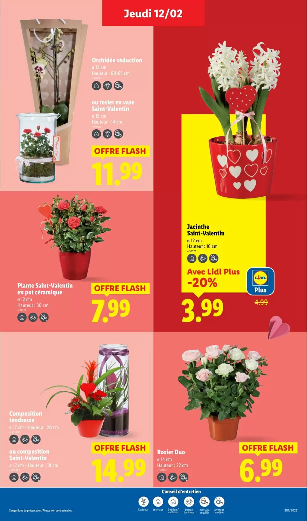 Prospectus promotionnel Lidl valable à partir du 12/02/2026 - Page 33.