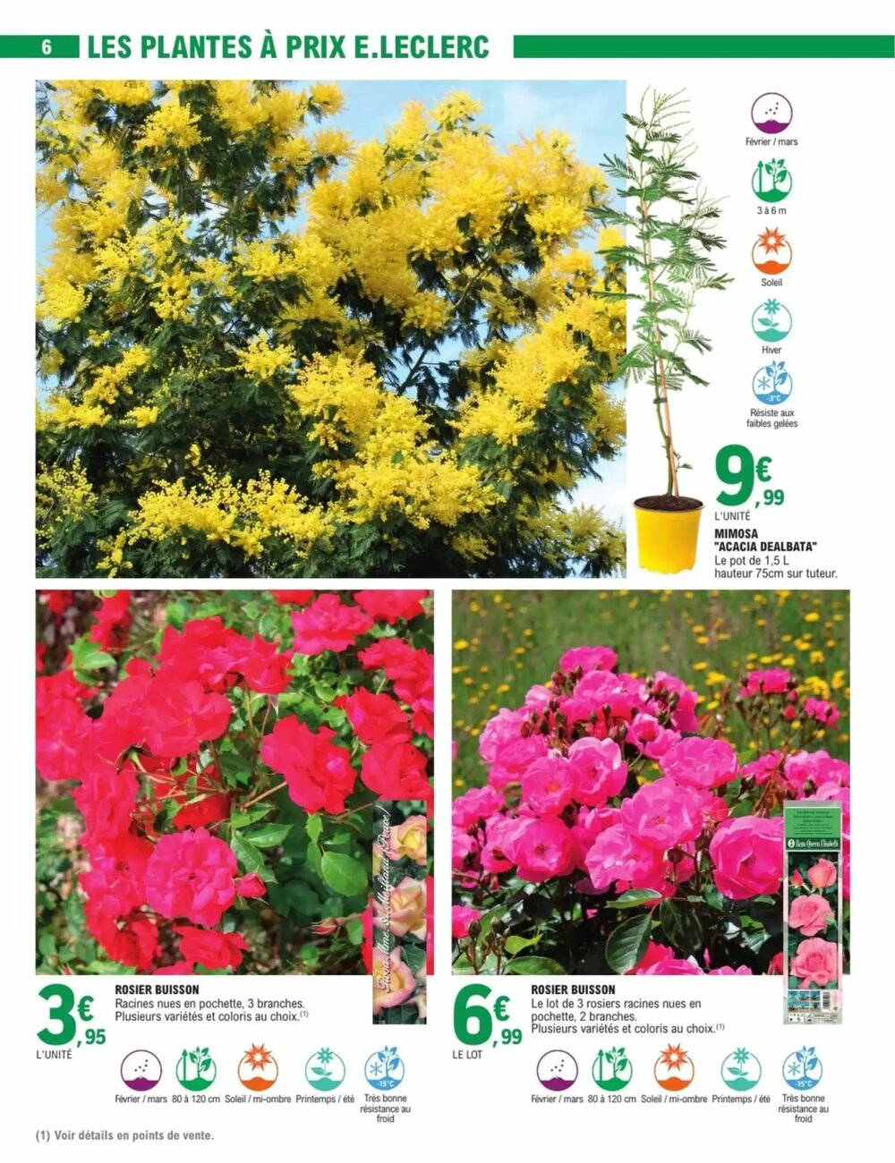 Prospectus promotionnel E.Leclerc valable à partir du 16/02/2026 - Page 6.