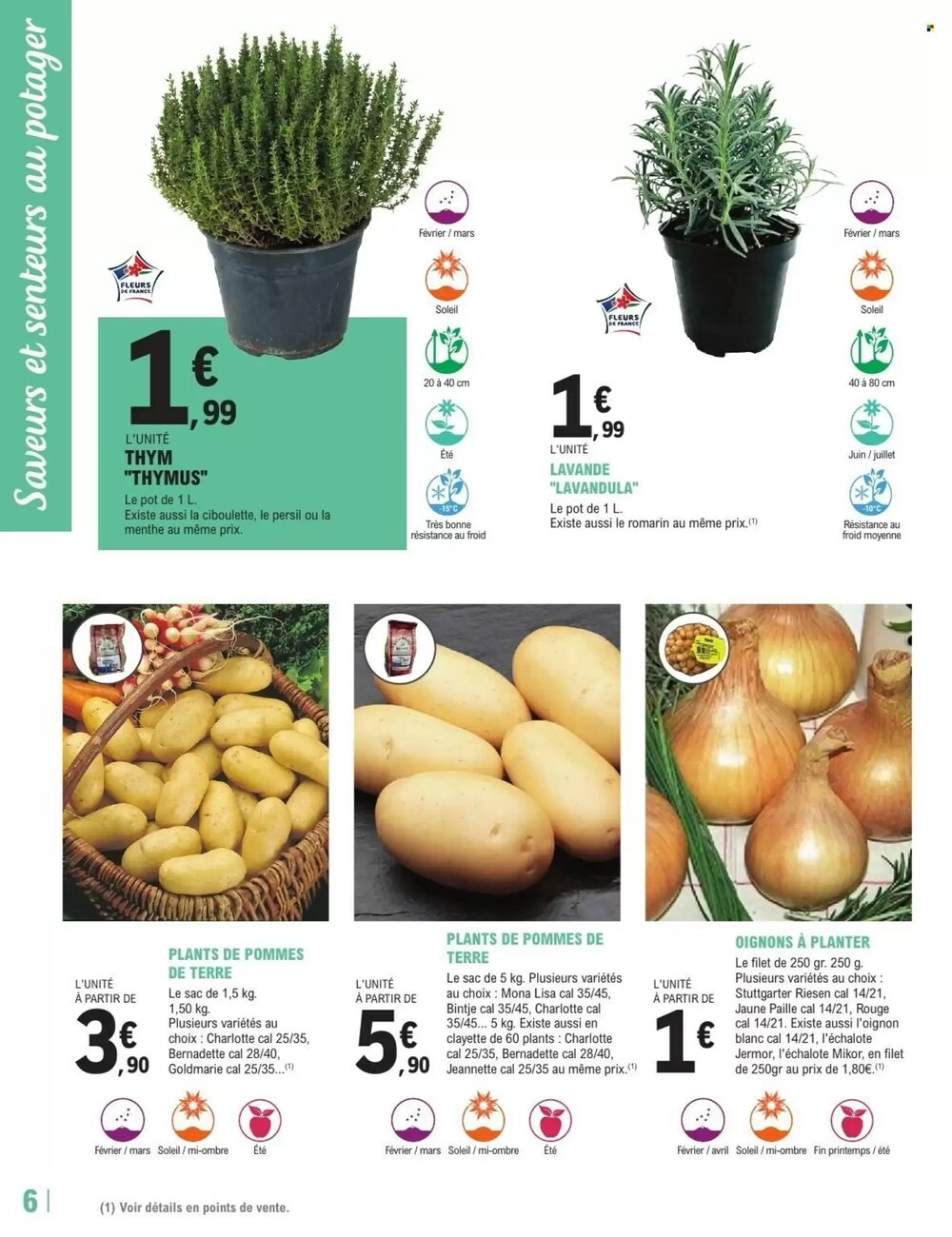 Prospectus promotionnel E.Leclerc Jardi valable à partir du 17/02/2026 - Page 6.